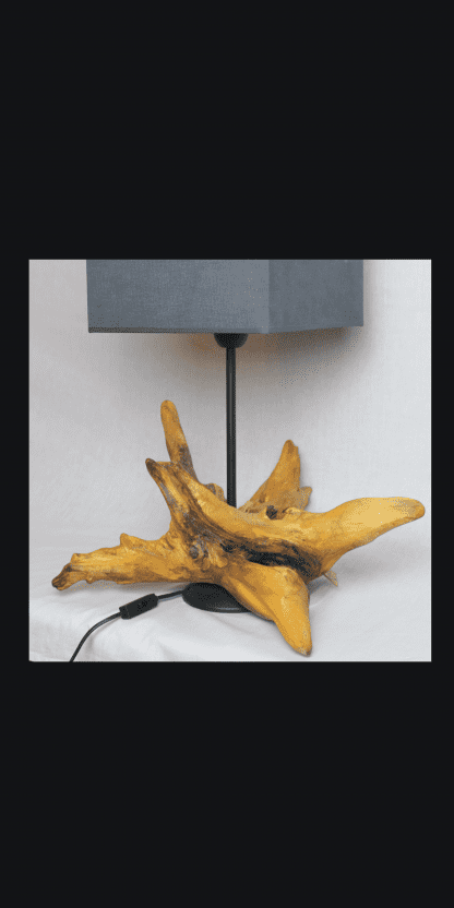 Whimsical table lamp